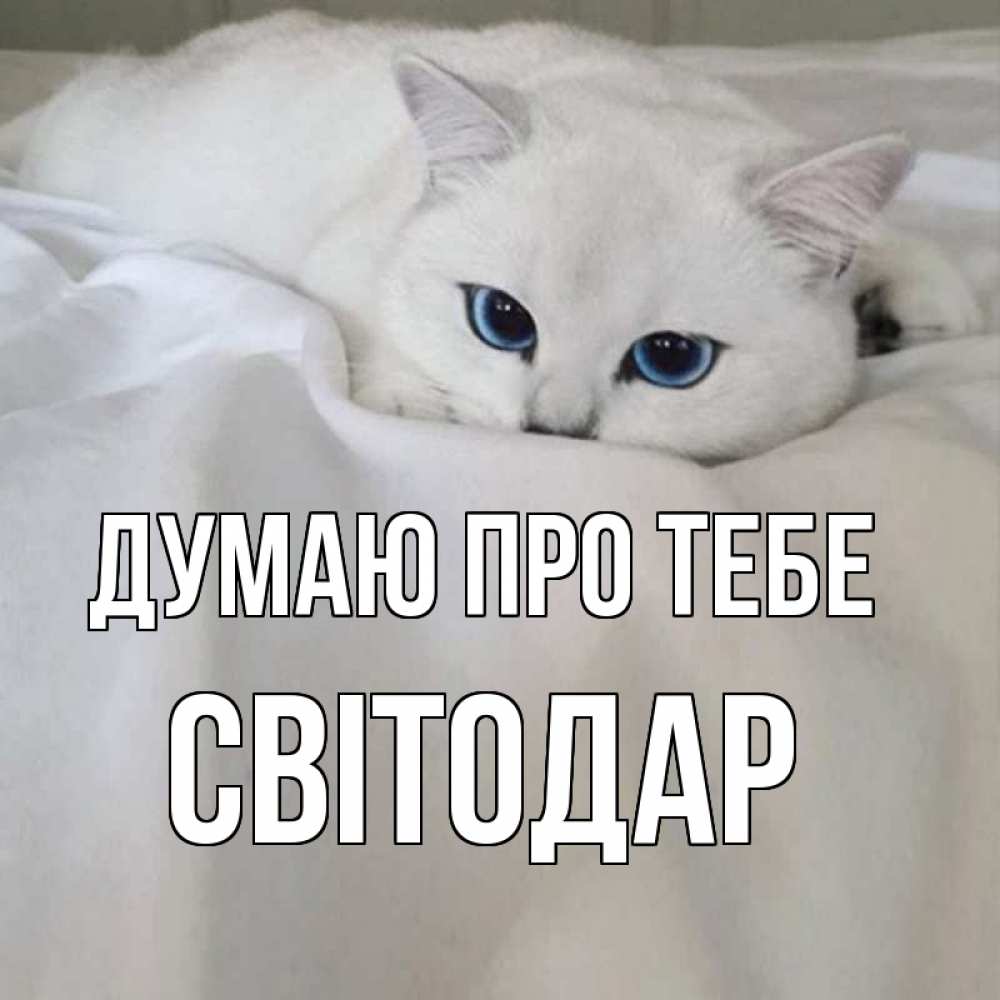 Открытка на каждый день з підписом, Світодар Думаю про тебе я очень по тебе скучаю и тоскую Прикольна листівка з побажанням онлайн скачати безкоштовно 