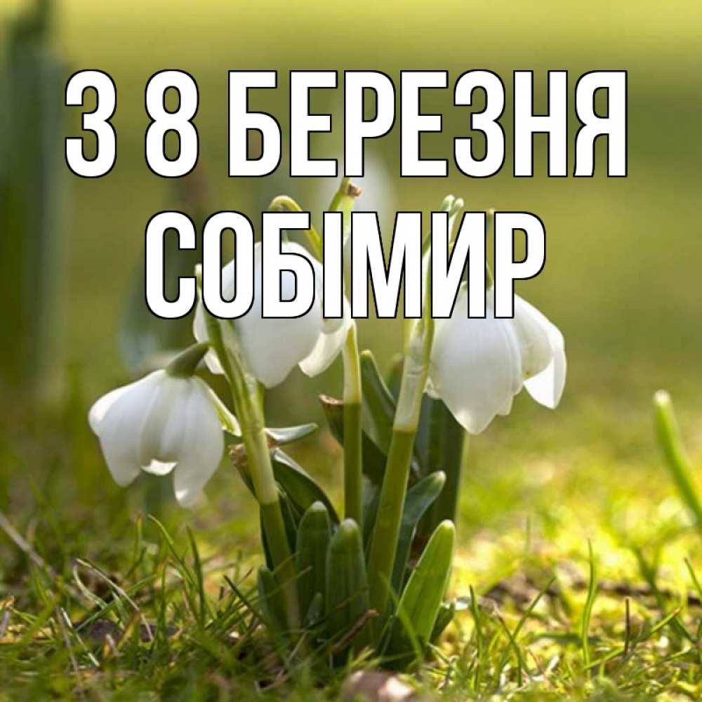Открытка на каждый день з підписом, Собімир З 8 БЕРЕЗНЯ ранние цветы 2 Прикольна листівка з побажанням онлайн скачати безкоштовно 