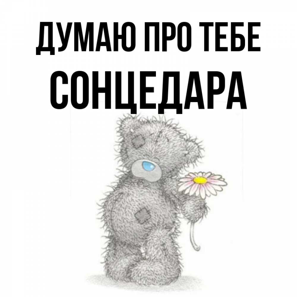 Открытка на каждый день з підписом, Сонцедара Думаю про тебе мысли только о тебе Прикольна листівка з побажанням онлайн скачати безкоштовно 