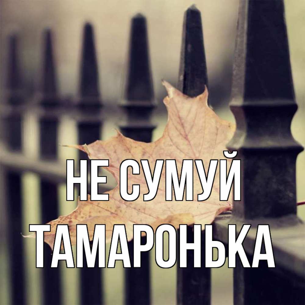 Открытка на каждый день з підписом, Тамаронька Не сумуй лист клена Прикольна листівка з побажанням онлайн скачати безкоштовно 