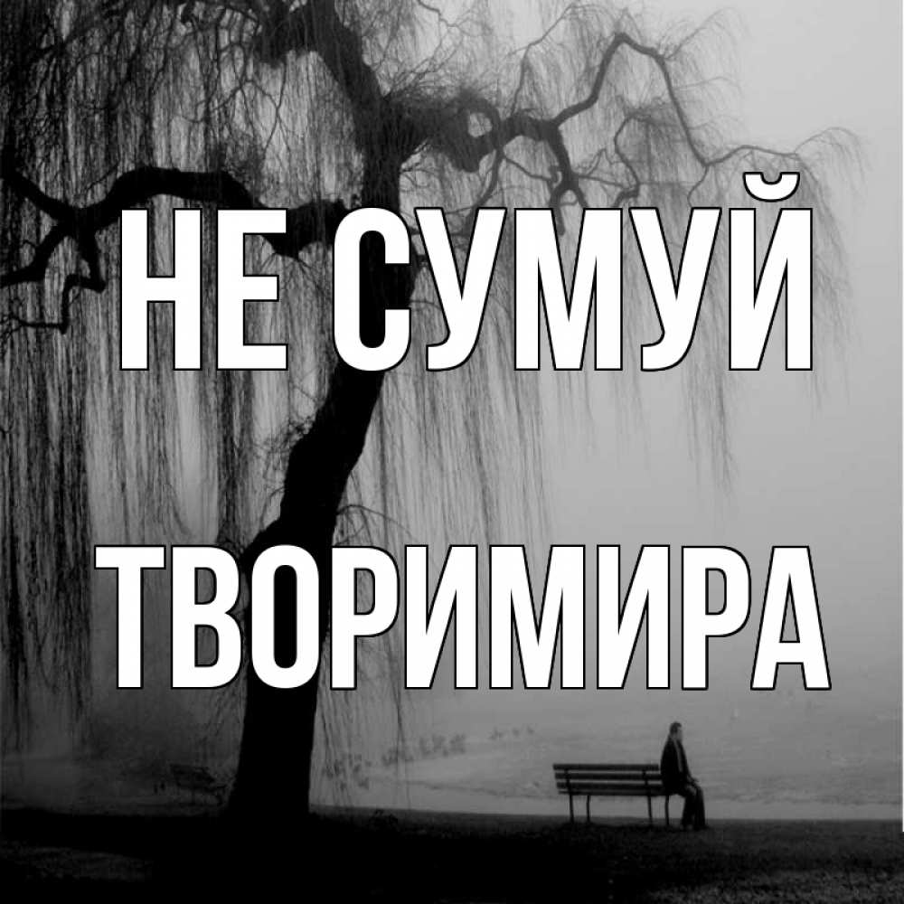 Открытка на каждый день з підписом, Творимира Не сумуй висящие ветки дерева и лавочка под деревом Прикольна листівка з побажанням онлайн скачати безкоштовно 