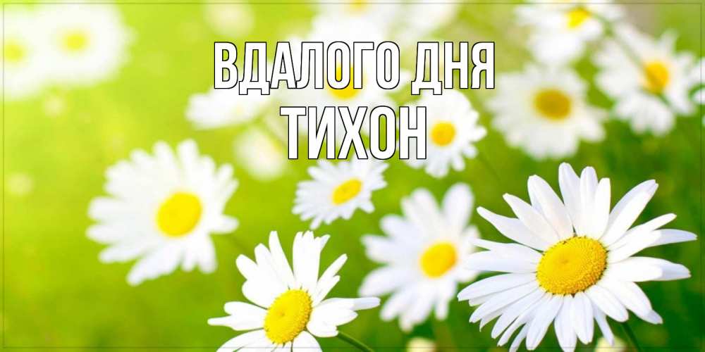 Открытка на каждый день з підписом, Тихон Вдалого дня открытка с ромашками на зеленом фоне Прикольна листівка з побажанням онлайн скачати безкоштовно 
