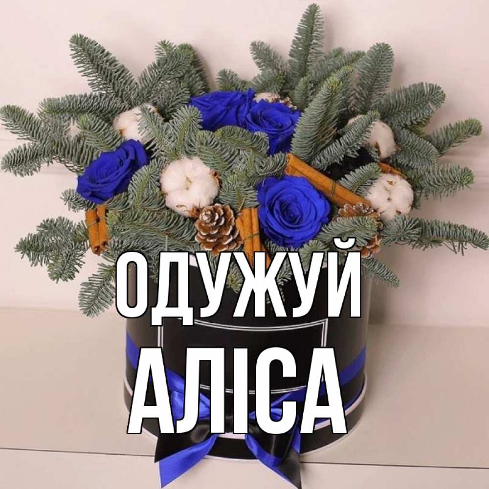 Открытка на каждый день з підписом, Аліса Одужуй короче кто то загрузил эти шишки Прикольна листівка з побажанням онлайн скачати безкоштовно 