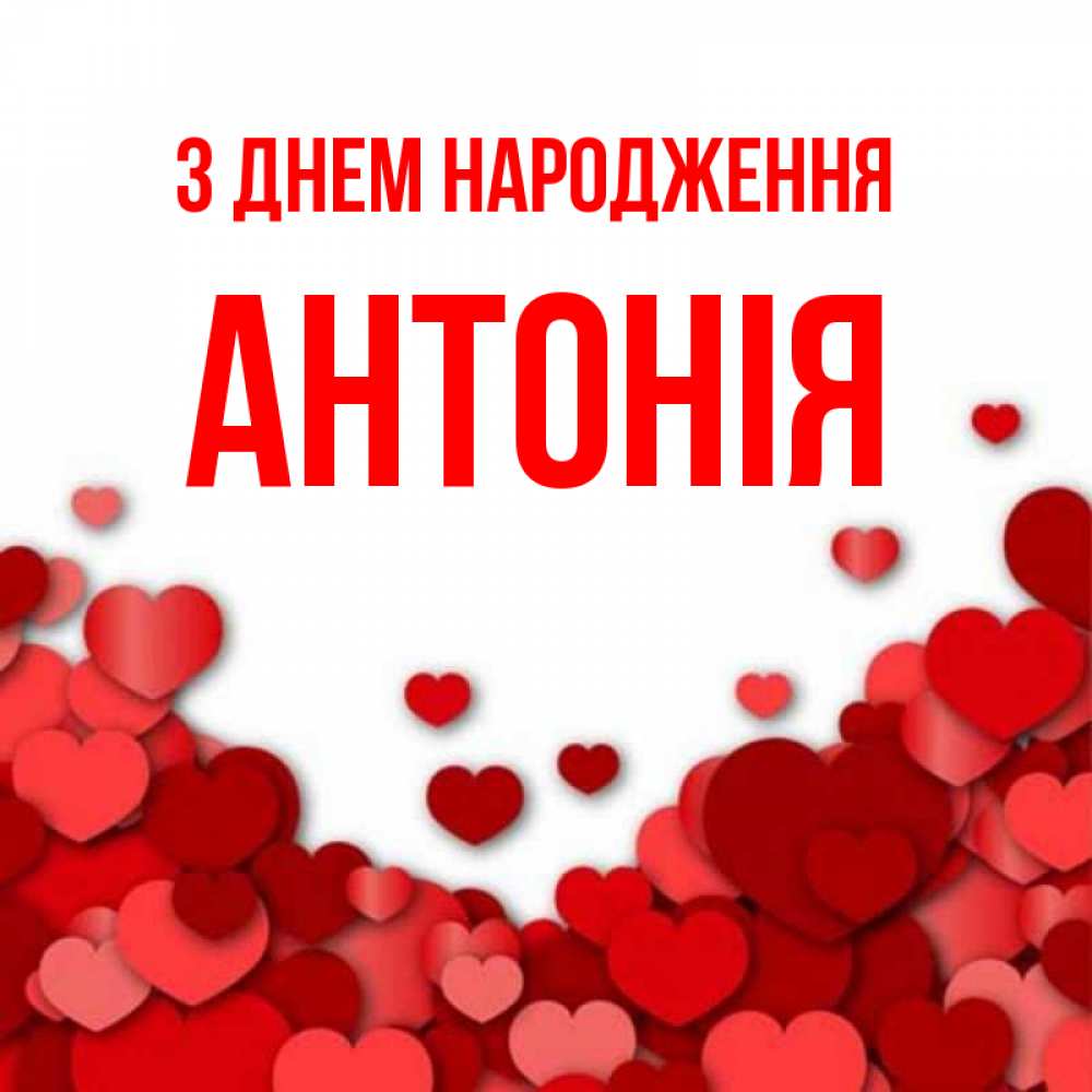 Открытка на каждый день з підписом, Антонія З Днем народження много красных сердечек о любви Прикольна листівка з побажанням онлайн скачати безкоштовно 