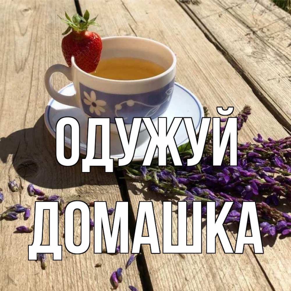 Открытка на каждый день з підписом, Домашка Одужуй чай Прикольна листівка з побажанням онлайн скачати безкоштовно 