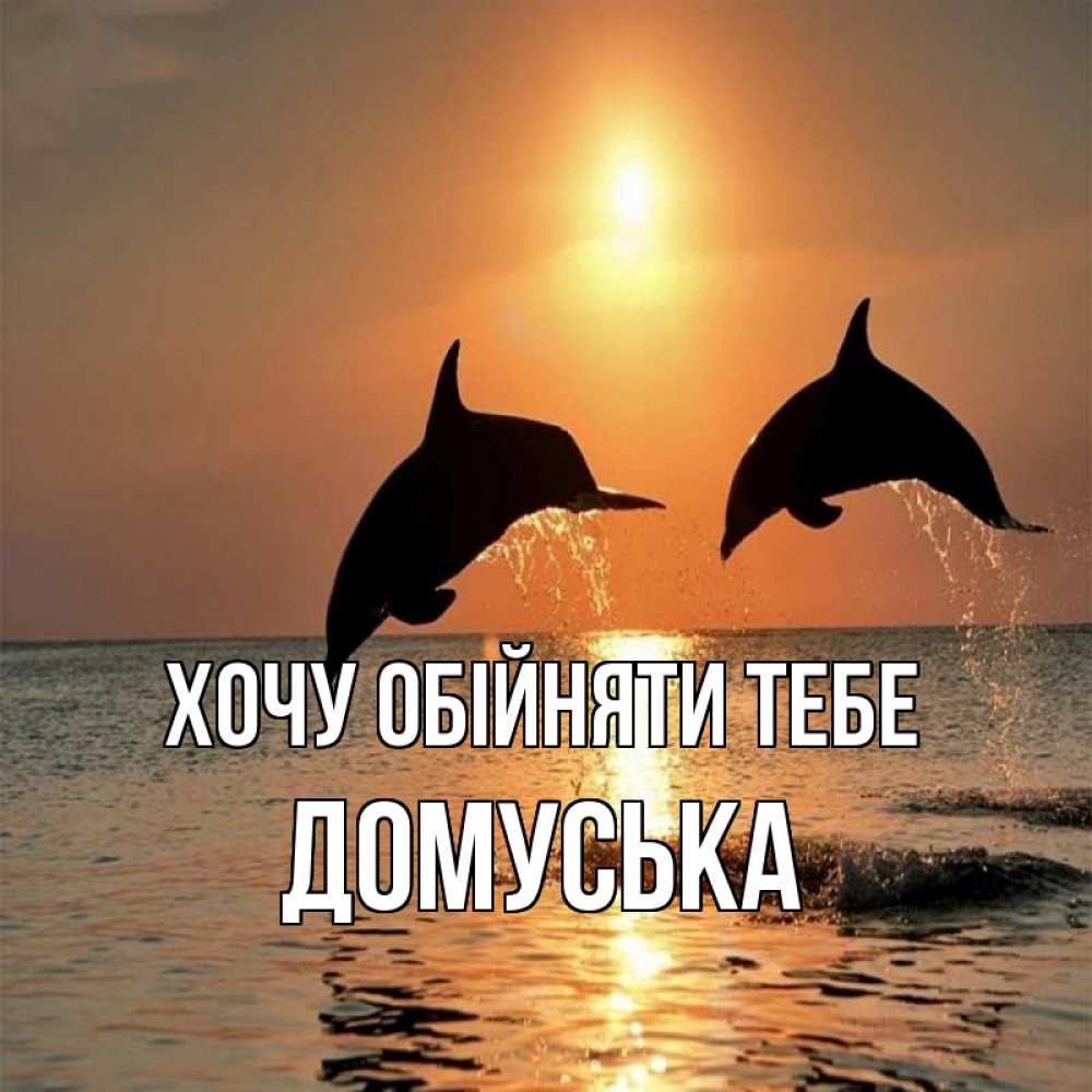 Открытка на каждый день з підписом, Домуська Хочу обійняти тебе рыбы на закате Прикольна листівка з побажанням онлайн скачати безкоштовно 
