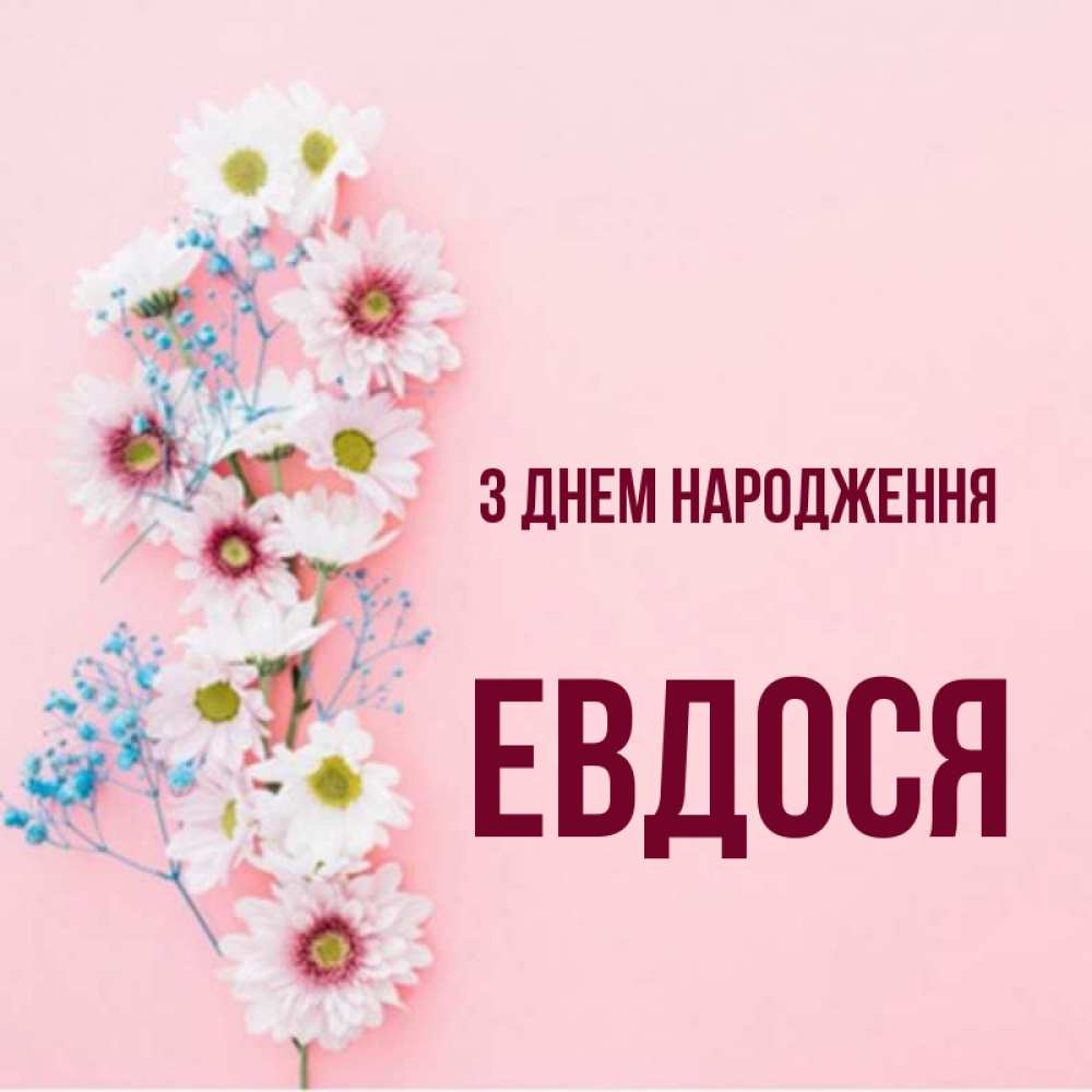 Открытка на каждый день з підписом, Евдося З Днем народження Родная моя с днем рождения тебя картинка с цветами белыми и голубыми Прикольна листівка з побажанням онлайн скачати безкоштовно 