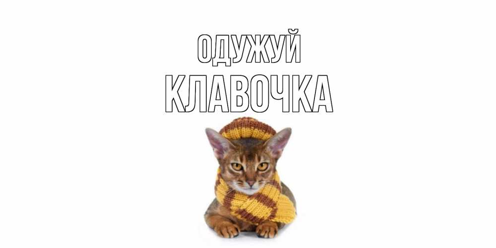 Открытка на каждый день з підписом, Клавочка Одужуй родные не болейте Прикольна листівка з побажанням онлайн скачати безкоштовно 