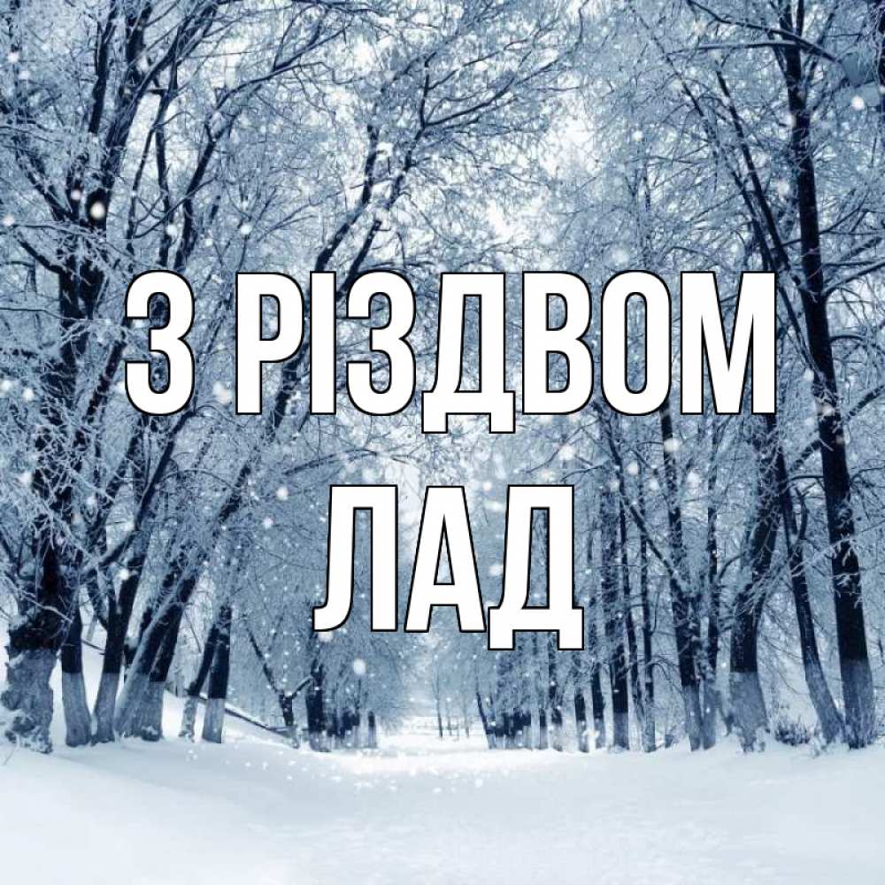 Открытка на каждый день з підписом, Лад З Різдвом снег, лес, парк Прикольна листівка з побажанням онлайн скачати безкоштовно 