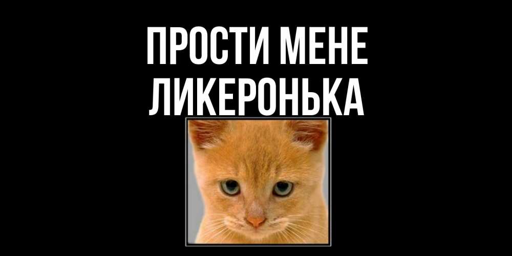 Открытка на каждый день з підписом, Ликеронька Прости мене рыжий грустный кот просит прощения Прикольна листівка з побажанням онлайн скачати безкоштовно 