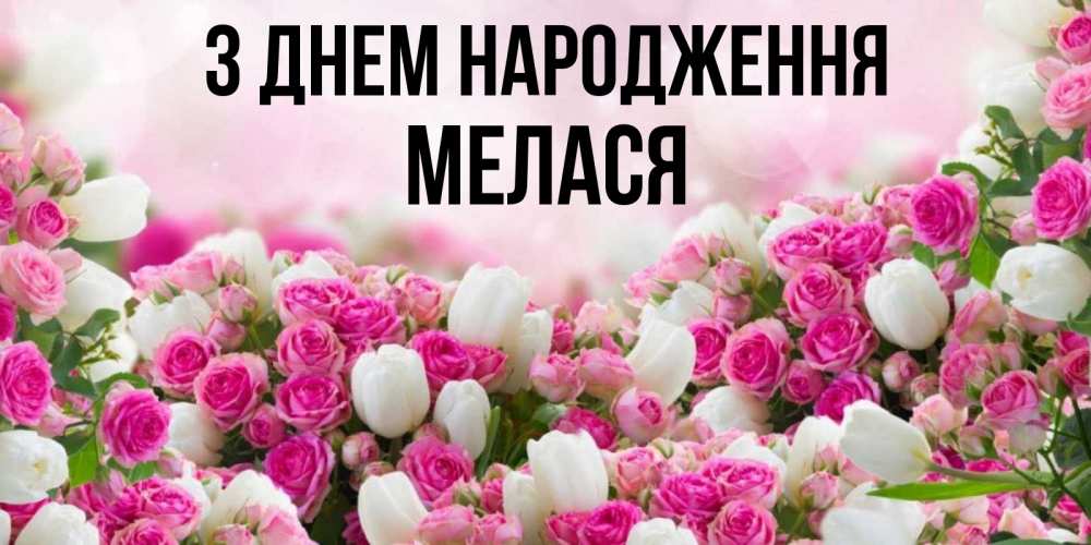 Открытка на каждый день з підписом, Мелася З Днем народження открытка с разными розами Прикольна листівка з побажанням онлайн скачати безкоштовно 