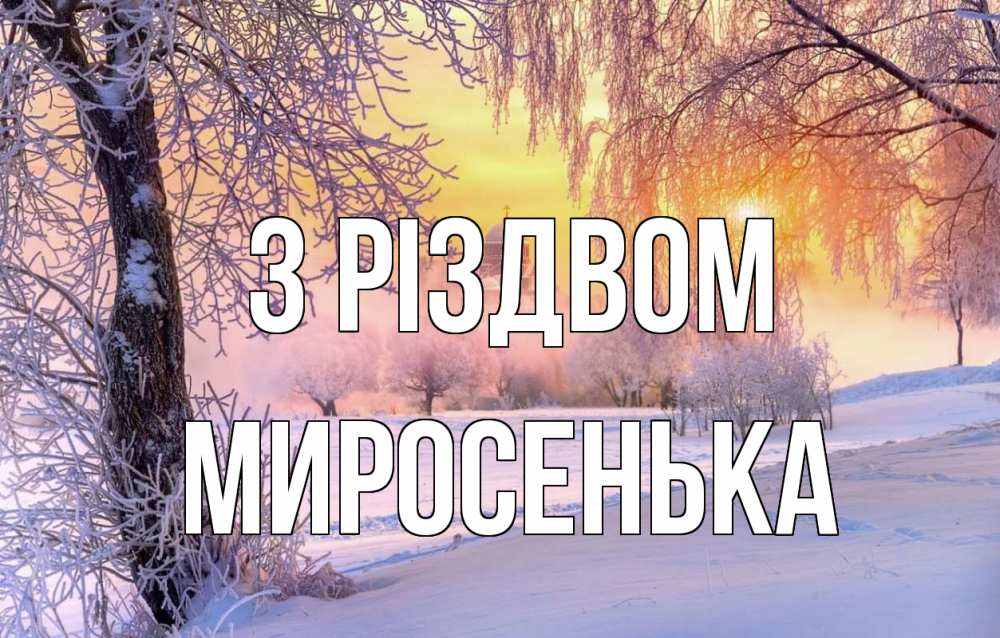 Открытка на каждый день з підписом, Миросенька З Різдвом рождество, лес, зима 1 Прикольна листівка з побажанням онлайн скачати безкоштовно 