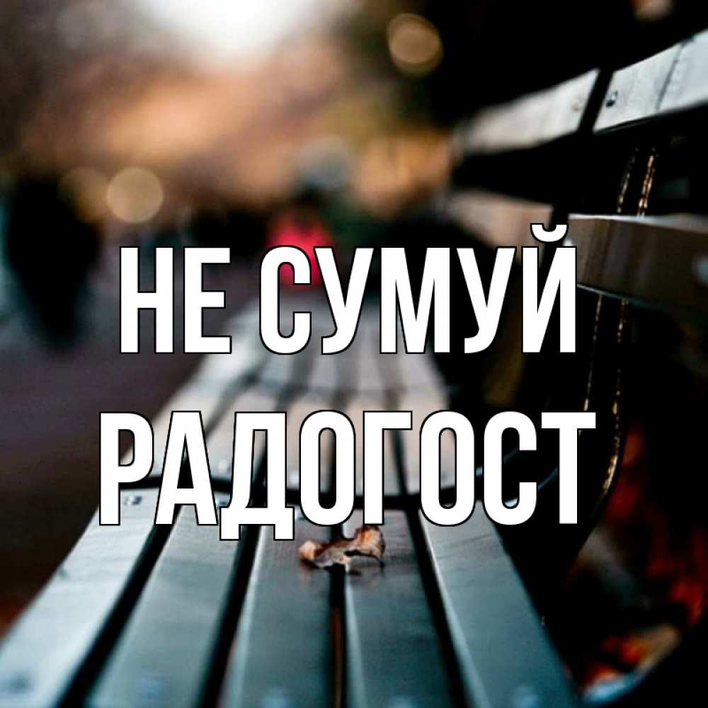 Открытка на каждый день з підписом, Радогост Не сумуй размытый фон Прикольна листівка з побажанням онлайн скачати безкоштовно 