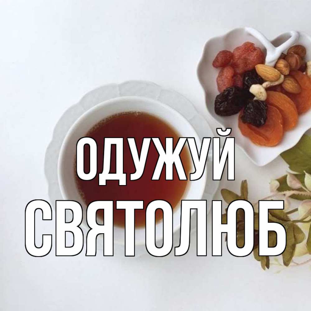 Открытка на каждый день з підписом, Святолюб Одужуй неизвестные растения Прикольна листівка з побажанням онлайн скачати безкоштовно 