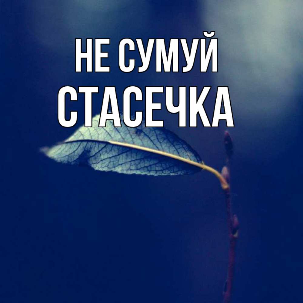 Открытка на каждый день з підписом, Стасечка Не сумуй растение Прикольна листівка з побажанням онлайн скачати безкоштовно 