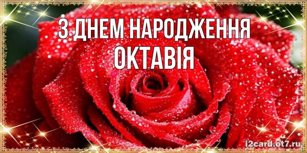 Открытка на каждый день з підписом, Октавія З Днем народження роса и роза. открытка с красивой розой Прикольна листівка з побажанням онлайн скачати безкоштовно 