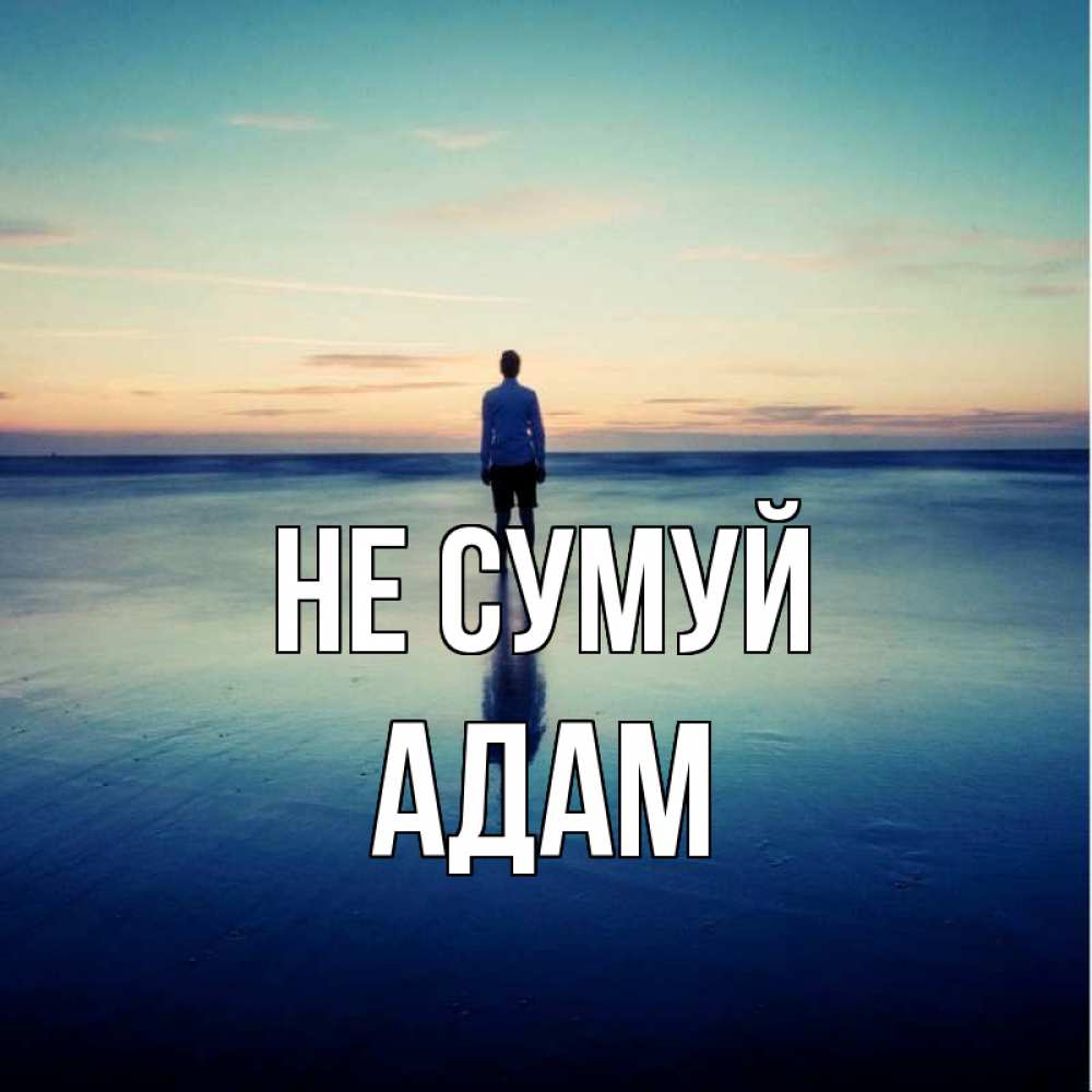 Открытка на каждый день з підписом, Адам Не сумуй небо и гладь льда Прикольна листівка з побажанням онлайн скачати безкоштовно 