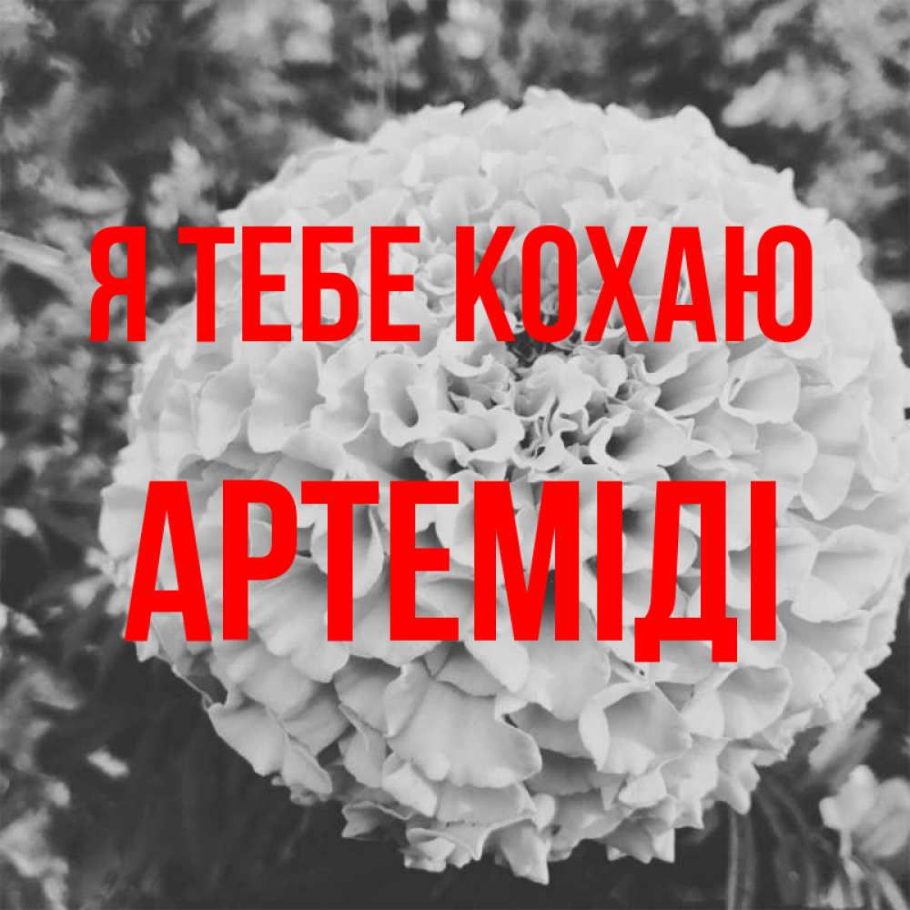 Открытка на каждый день з підписом, Артеміді Я тебе кохаю подпись Прикольна листівка з побажанням онлайн скачати безкоштовно 