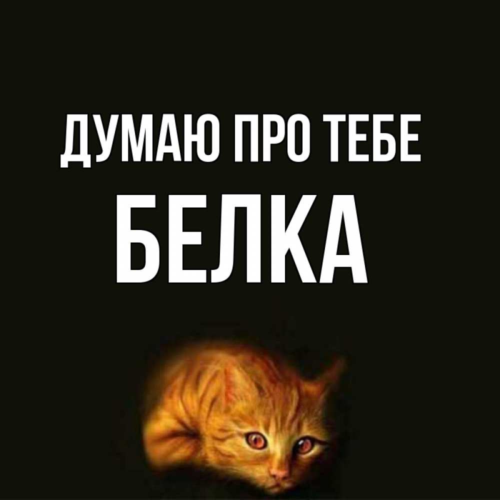 Открытка на каждый день з підписом, Белка Думаю про тебе рыжий Прикольна листівка з побажанням онлайн скачати безкоштовно 