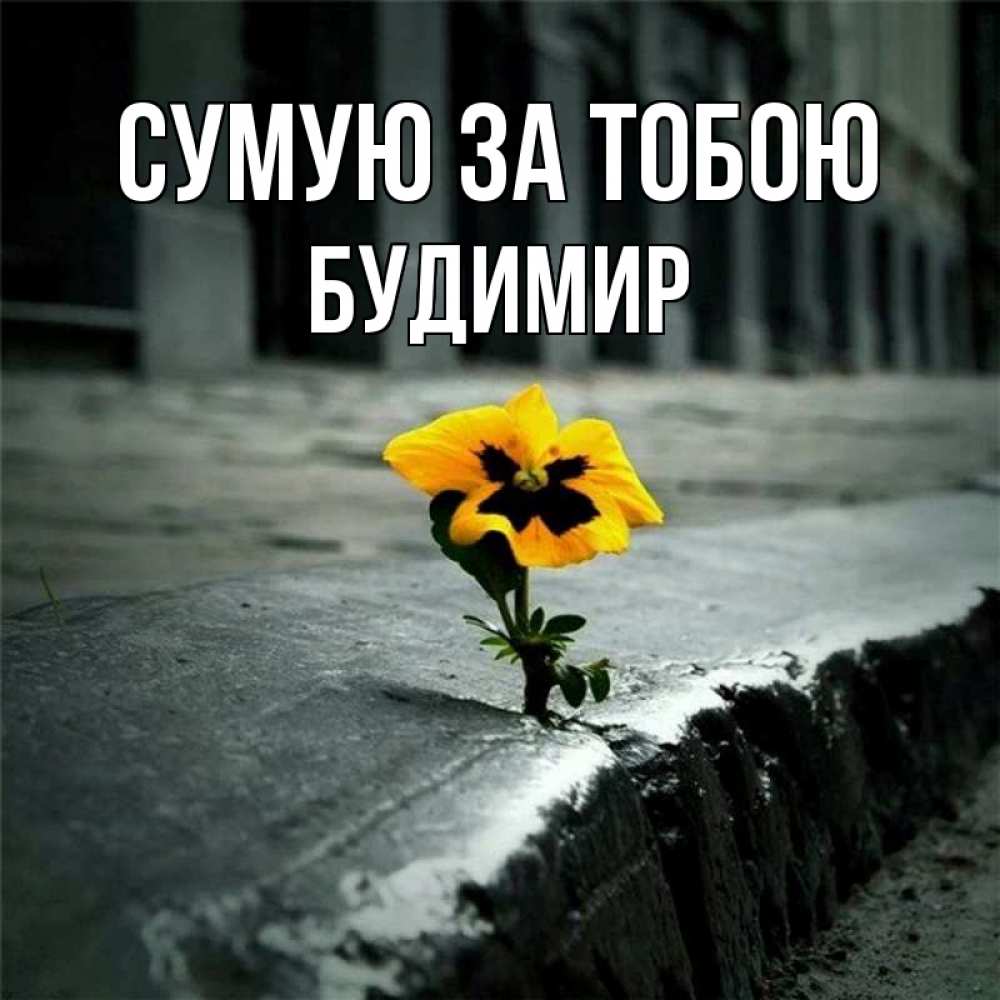 Открытка на каждый день з підписом, Будимир Сумую за тобою надеюсь будет лучше Прикольна листівка з побажанням онлайн скачати безкоштовно 