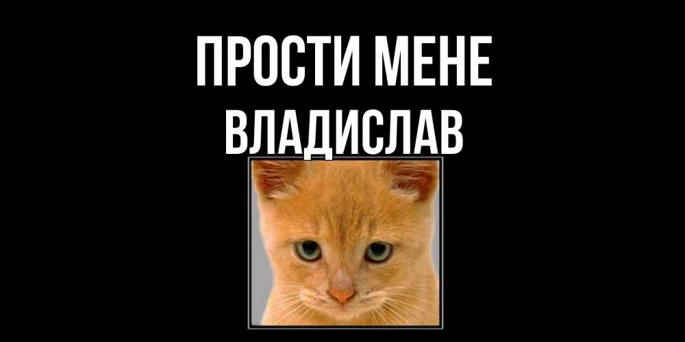 Открытка на каждый день з підписом, Владислав Прости мене рыжий грустный кот просит прощения Прикольна листівка з побажанням онлайн скачати безкоштовно 