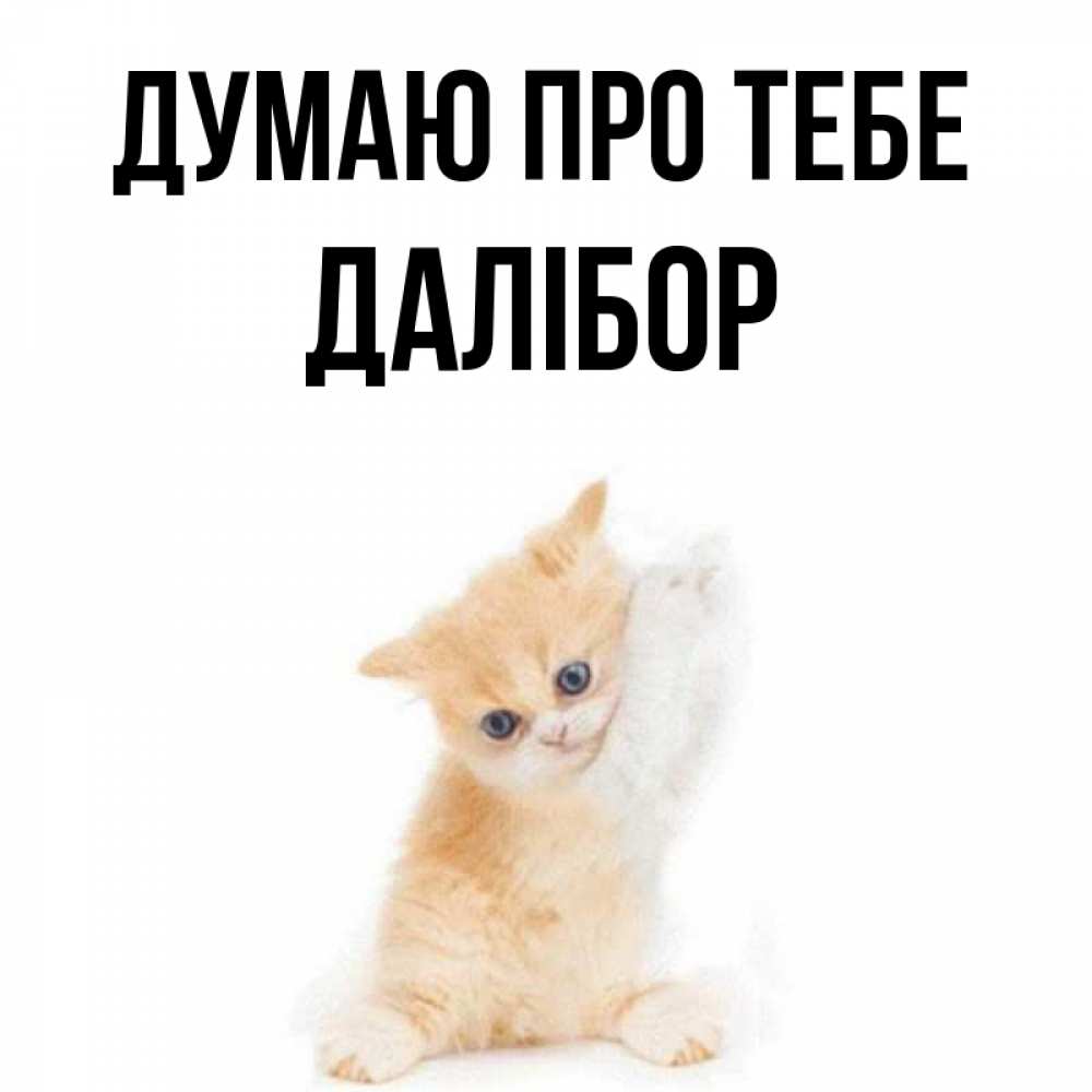 Открытка на каждый день з підписом, Далібор Думаю про тебе зверушки и милота Прикольна листівка з побажанням онлайн скачати безкоштовно 