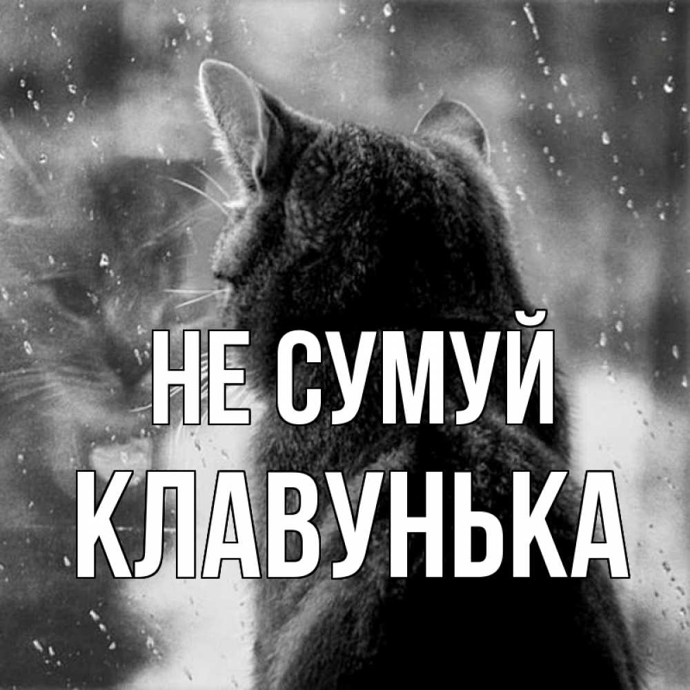 Открытка на каждый день з підписом, Клавунька Не сумуй отражение кота 1 Прикольна листівка з побажанням онлайн скачати безкоштовно 