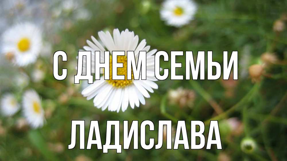 Открытка на каждый день з підписом, Ладислава С днем семьи с днем семьи Прикольна листівка з побажанням онлайн скачати безкоштовно 