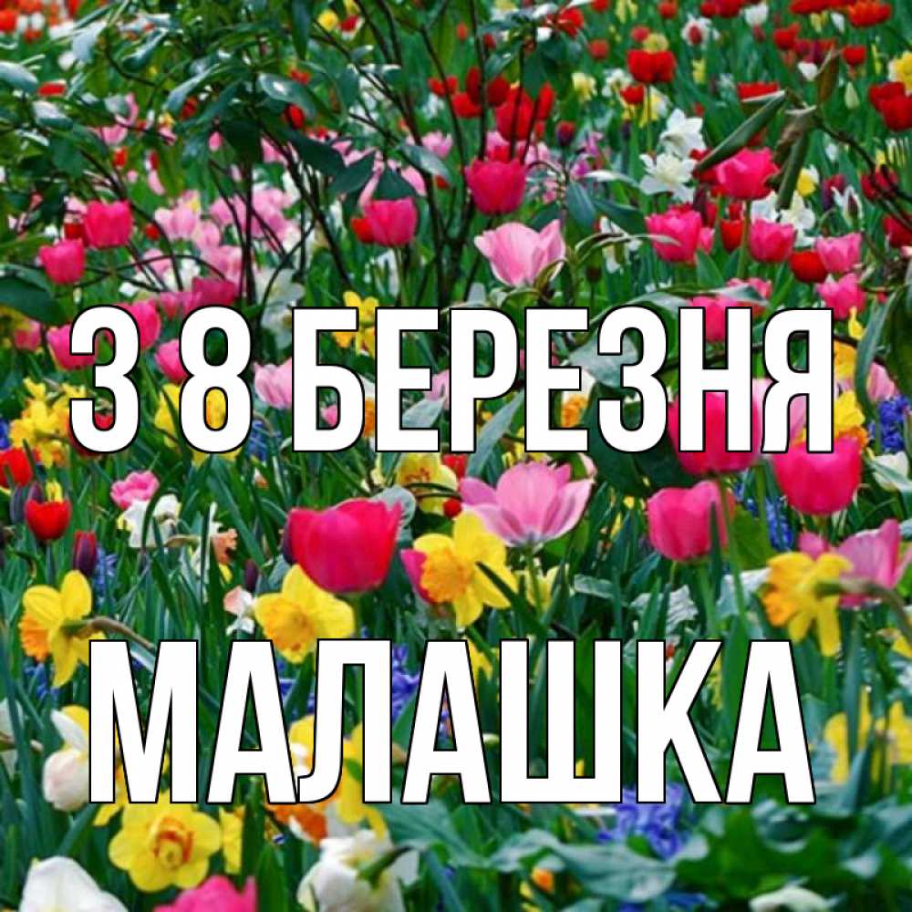 Открытка на каждый день з підписом, Малашка З 8 БЕРЕЗНЯ с международным женским днем поздравления для женщины Прикольна листівка з побажанням онлайн скачати безкоштовно 