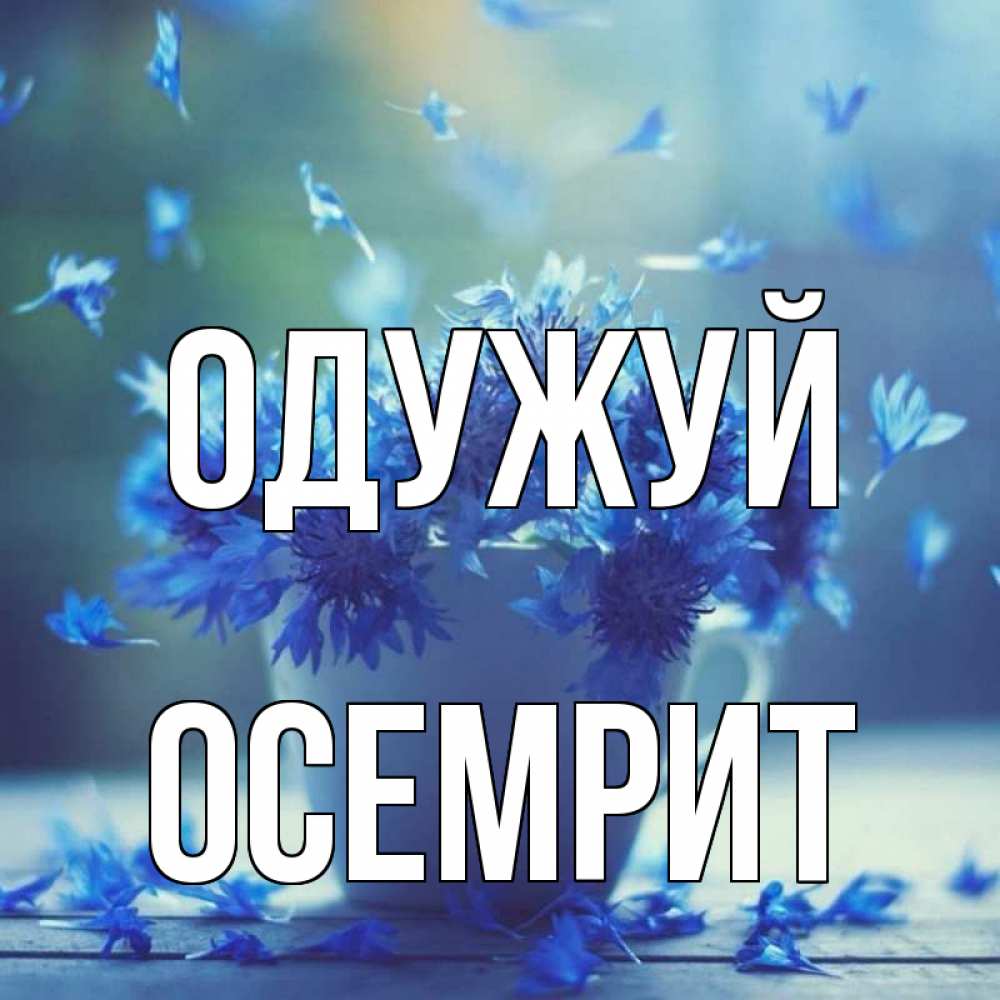Открытка на каждый день з підписом, Осемрит Одужуй кружка с зельем и цветами Прикольна листівка з побажанням онлайн скачати безкоштовно 