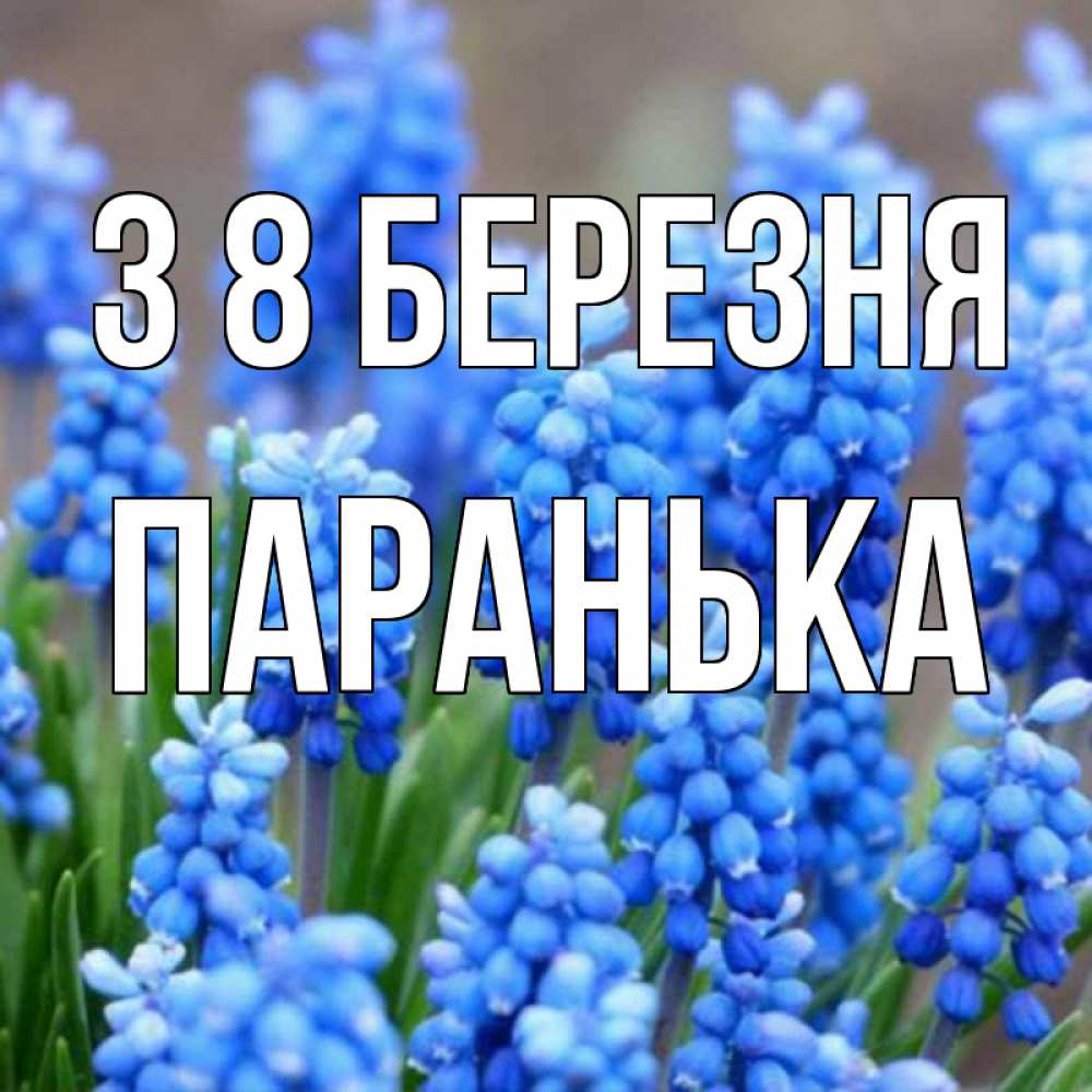 Открытка на каждый день з підписом, Паранька З 8 БЕРЕЗНЯ Поздравительная открытка для женщин с цветами на праздничную дату Прикольна листівка з побажанням онлайн скачати безкоштовно 
