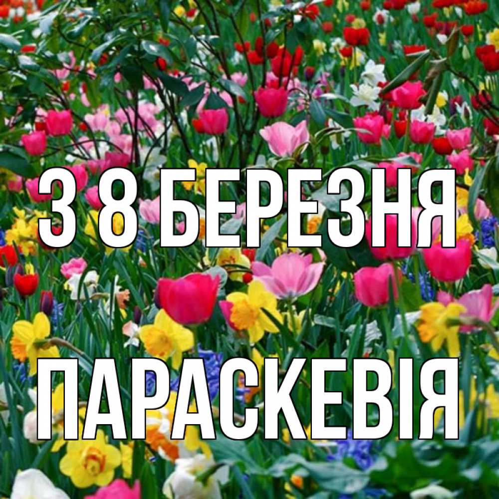 Открытка на каждый день з підписом, Параскевія З 8 БЕРЕЗНЯ с международным женским днем поздравления для женщины Прикольна листівка з побажанням онлайн скачати безкоштовно 