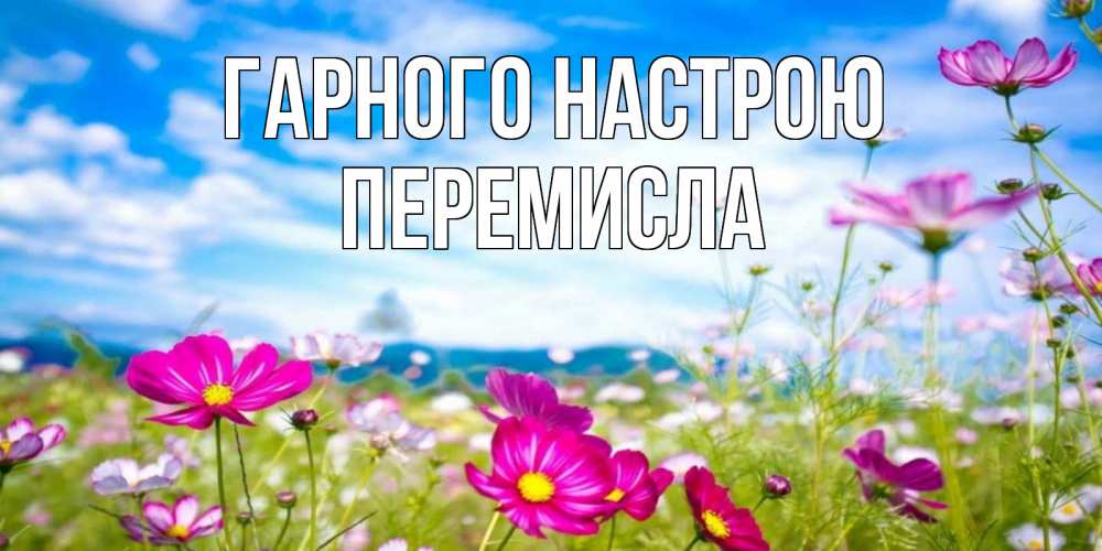 Открытка на каждый день з підписом, Перемисла Гарного настрою поле цветов Прикольна листівка з побажанням онлайн скачати безкоштовно 