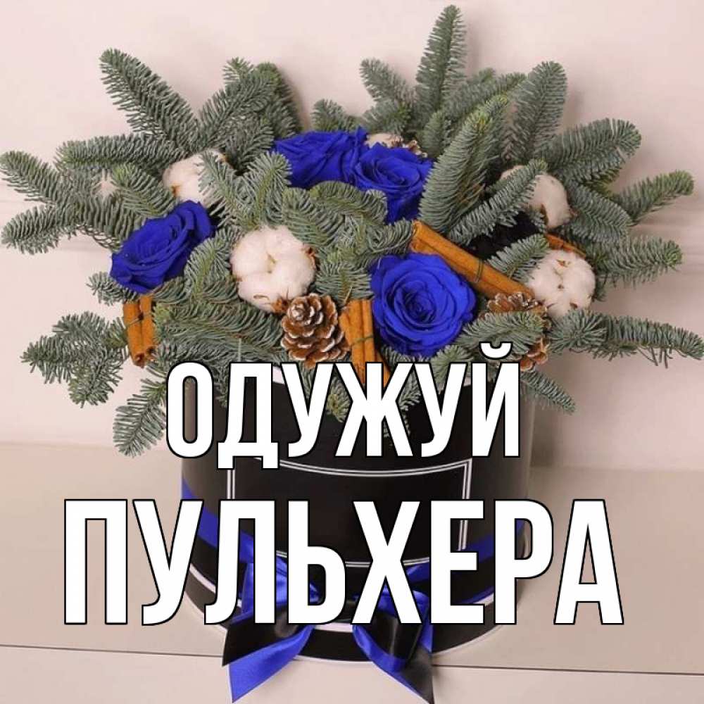 Открытка на каждый день з підписом, Пульхера Одужуй короче кто то загрузил эти шишки Прикольна листівка з побажанням онлайн скачати безкоштовно 