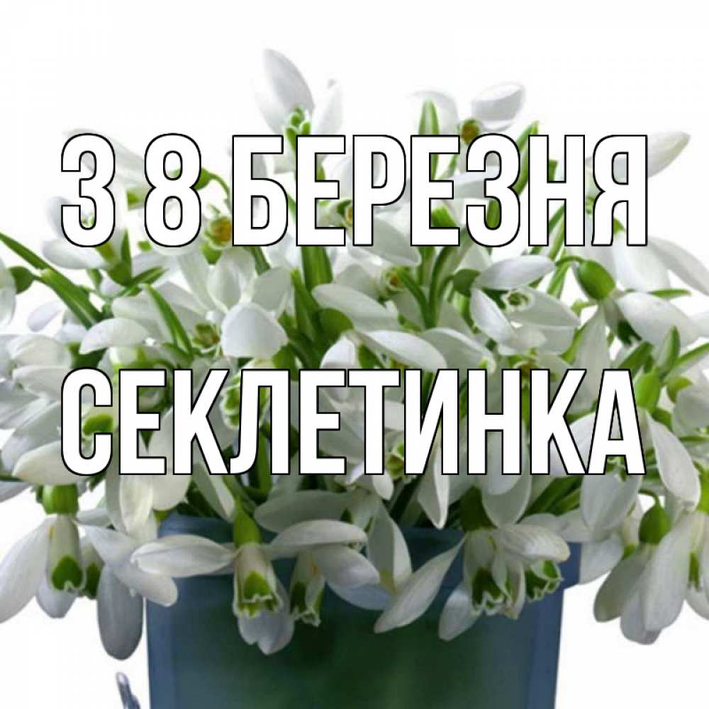 Открытка на каждый день з підписом, Секлетинка З 8 БЕРЕЗНЯ цветы к международному женскому дню Прикольна листівка з побажанням онлайн скачати безкоштовно 