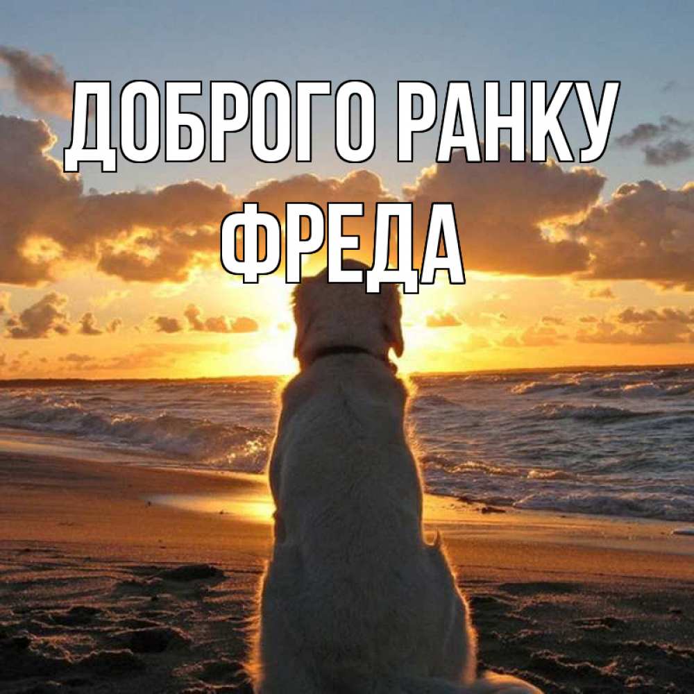Открытка на каждый день з підписом, Фреда Доброго ранку восход солнца Прикольна листівка з побажанням онлайн скачати безкоштовно 