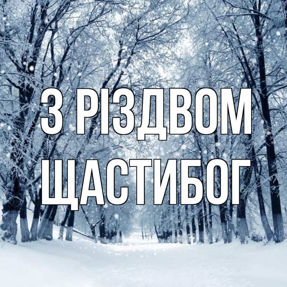 Открытка на каждый день з підписом, Щастибог З Різдвом снег, лес, парк Прикольна листівка з побажанням онлайн скачати безкоштовно 