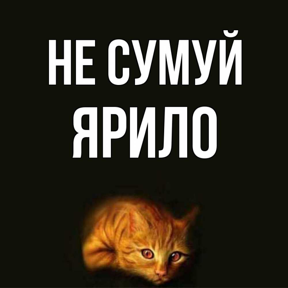 Открытка на каждый день з підписом, Ярило Не сумуй лежащий кот в темноте Прикольна листівка з побажанням онлайн скачати безкоштовно 