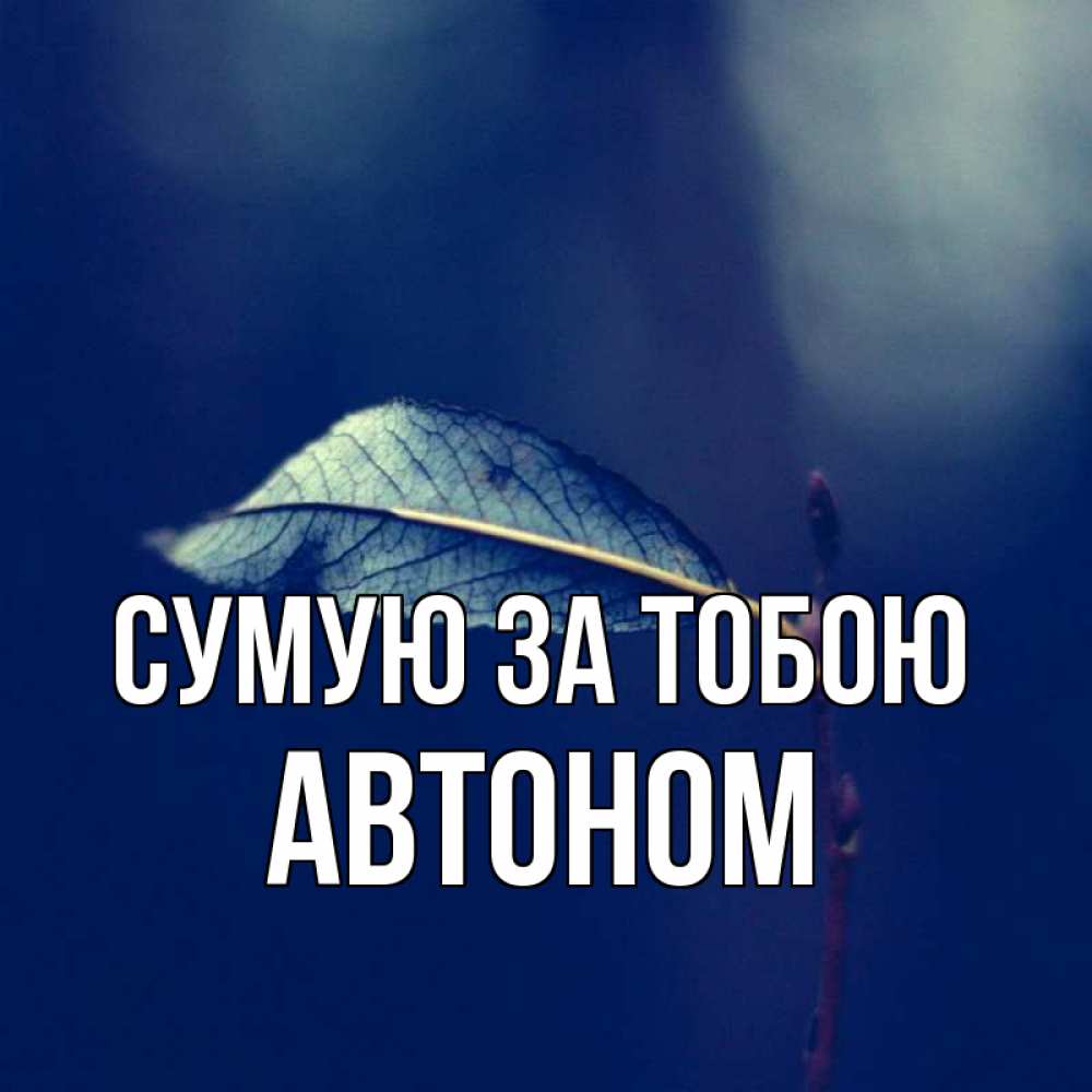Открытка на каждый день з підписом, Автоном Сумую за тобою одна ветка 1 Прикольна листівка з побажанням онлайн скачати безкоштовно 