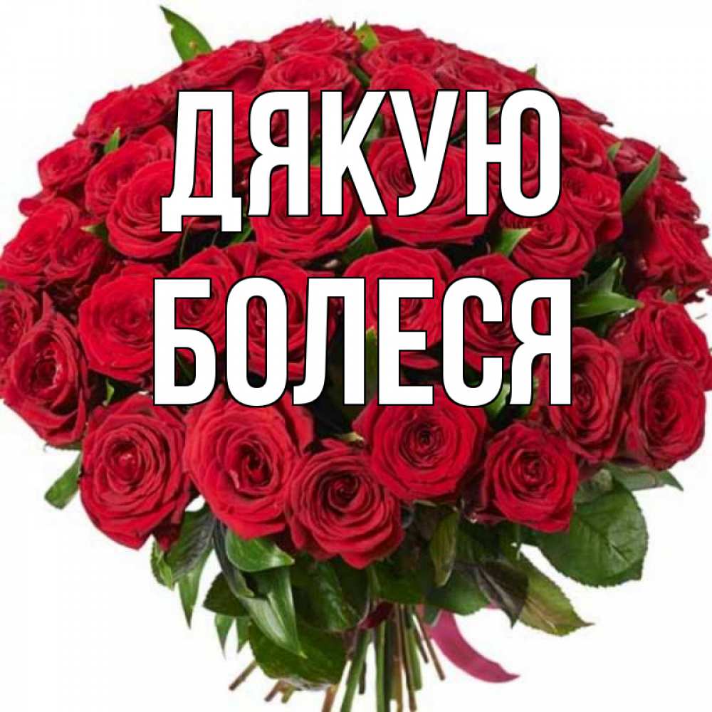 Открытка на каждый день з підписом, Болеся Дякую букет красных роз Прикольна листівка з побажанням онлайн скачати безкоштовно 