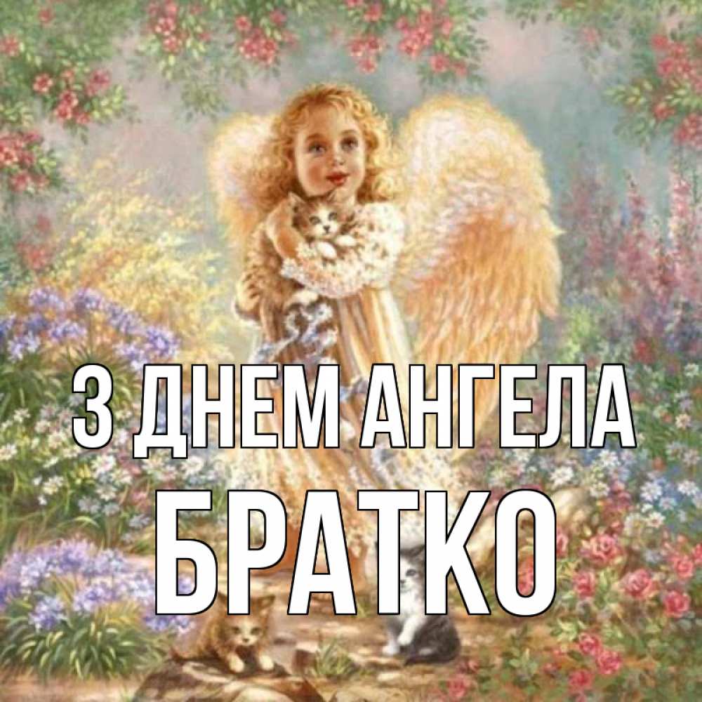 Открытка на каждый день з підписом, Братко З Днем ангела держит котенка Прикольна листівка з побажанням онлайн скачати безкоштовно 