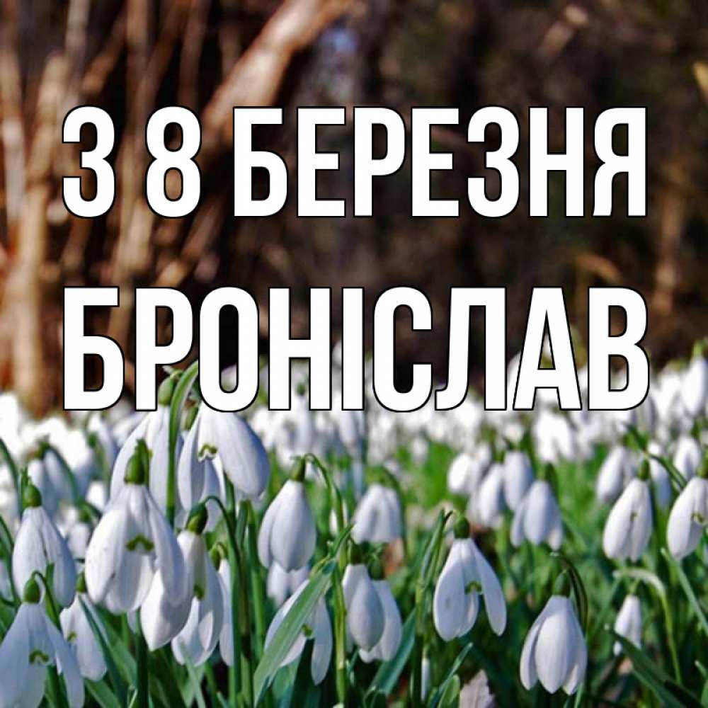 Открытка на каждый день з підписом, Броніслав З 8 БЕРЕЗНЯ с подснежниками 1 Прикольна листівка з побажанням онлайн скачати безкоштовно 