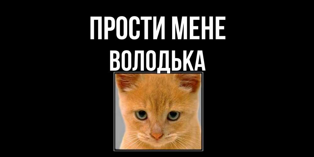 Открытка на каждый день з підписом, Володька Прости мене рыжий грустный кот просит прощения Прикольна листівка з побажанням онлайн скачати безкоштовно 