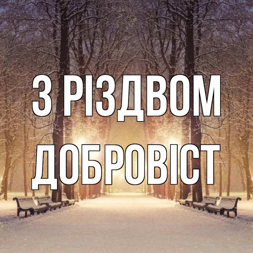 Открытка на каждый день з підписом, Добровіст З Різдвом зима, парк, фонарь, лес Прикольна листівка з побажанням онлайн скачати безкоштовно 