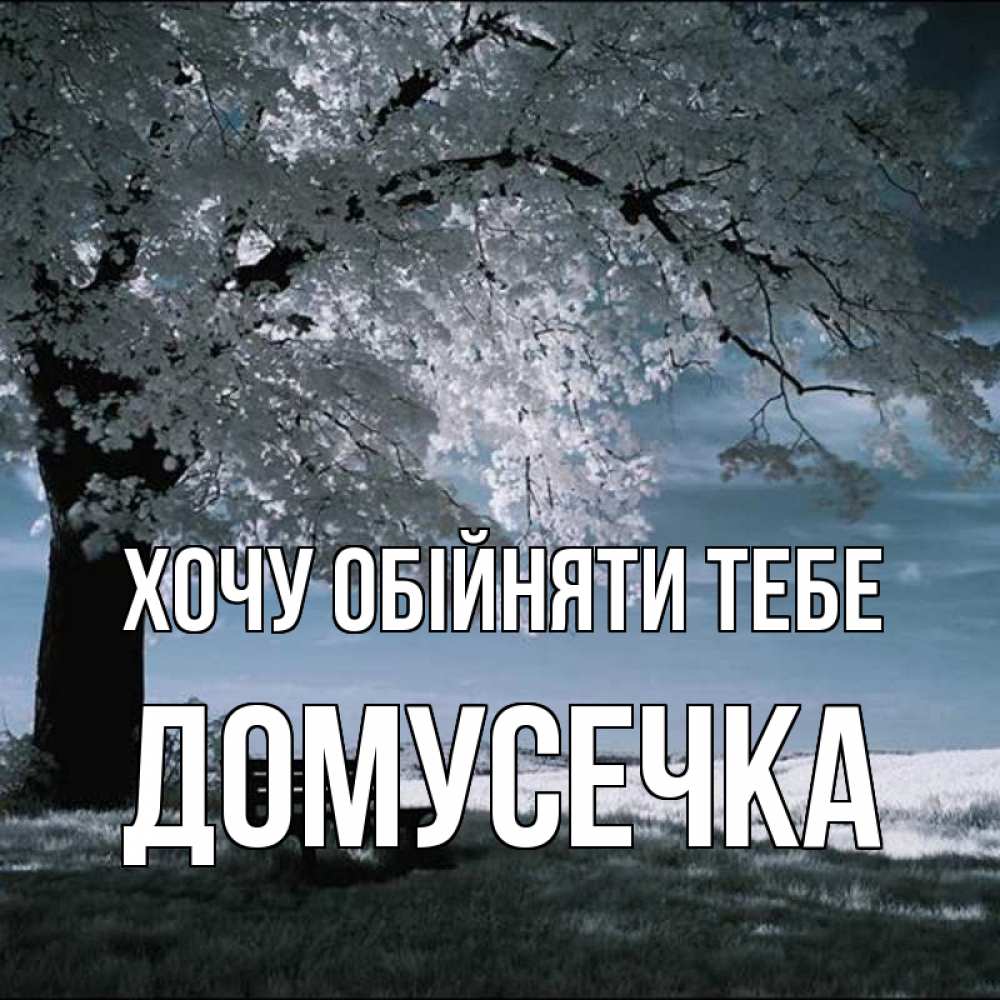 Открытка на каждый день з підписом, Домусечка Хочу обійняти тебе дерево Прикольна листівка з побажанням онлайн скачати безкоштовно 