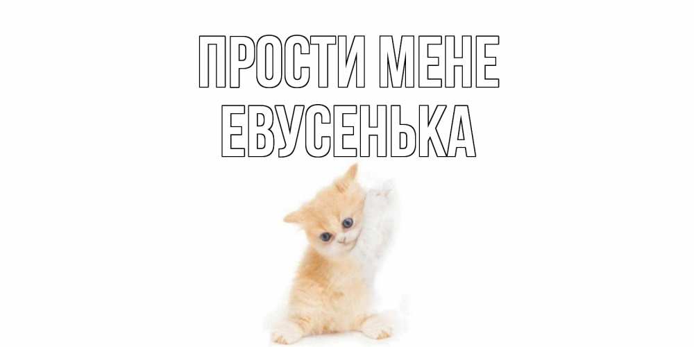 Открытка на каждый день з підписом, Евусенька Прости мене кот Прикольна листівка з побажанням онлайн скачати безкоштовно 
