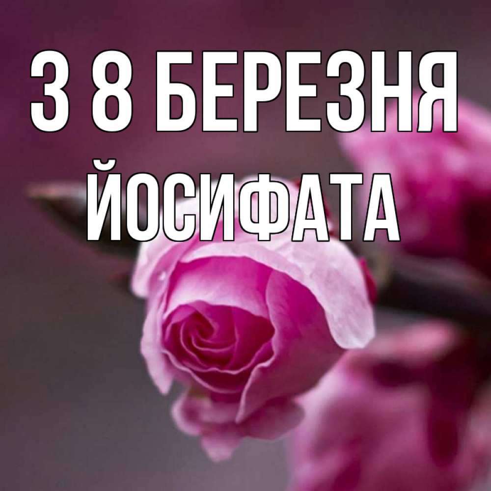 Открытка на каждый день з підписом, Йосифата З 8 БЕРЕЗНЯ весна Прикольна листівка з побажанням онлайн скачати безкоштовно 