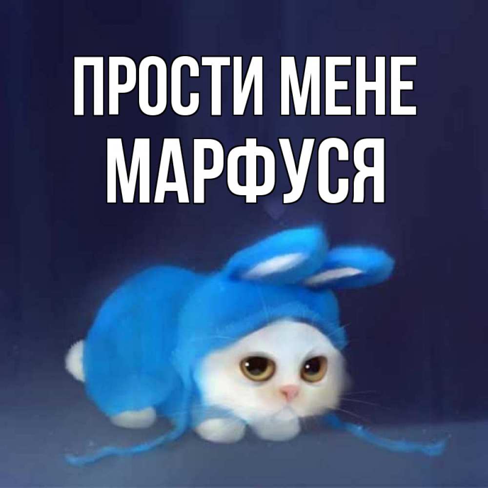 Открытка на каждый день з підписом, Марфуся Прости мене невинный котозай просит прощения Прикольна листівка з побажанням онлайн скачати безкоштовно 