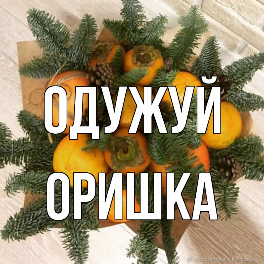 Открытка на каждый день з підписом, Оришка Одужуй апельсины и хурьма Прикольна листівка з побажанням онлайн скачати безкоштовно 