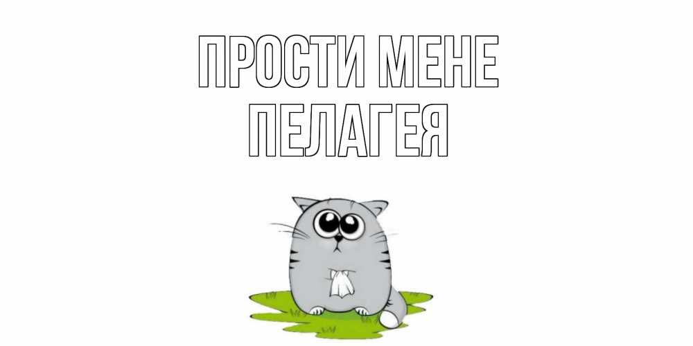 Открытка на каждый день з підписом, Пелагея Прости мене открытка с котиком просящим прощения Прикольна листівка з побажанням онлайн скачати безкоштовно 